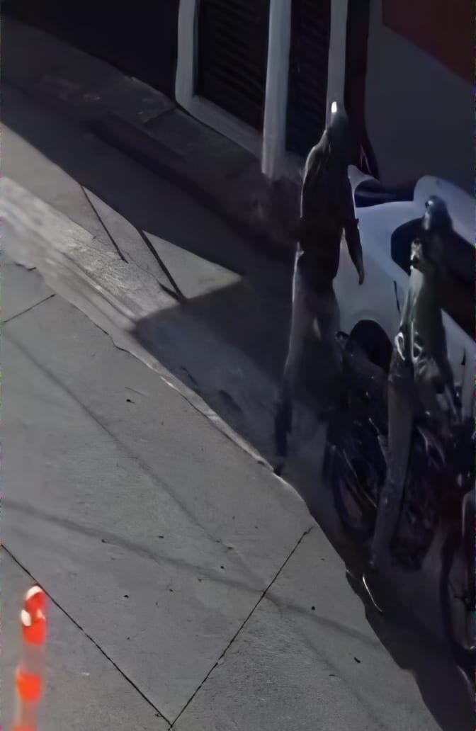 Moto-rateros roban 150 mil pesos dos cuentahabientes, en la colonia Morelos, en Uruapan