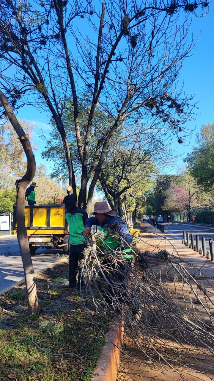 Gobierno Municipal interviene y mejora los espacios públicos de Morelia