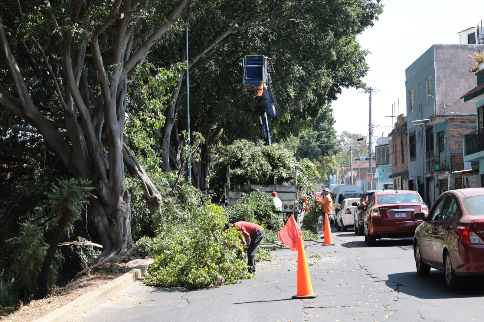 Alfonso Martínez llama a cuidar entre todos los espacios públicos