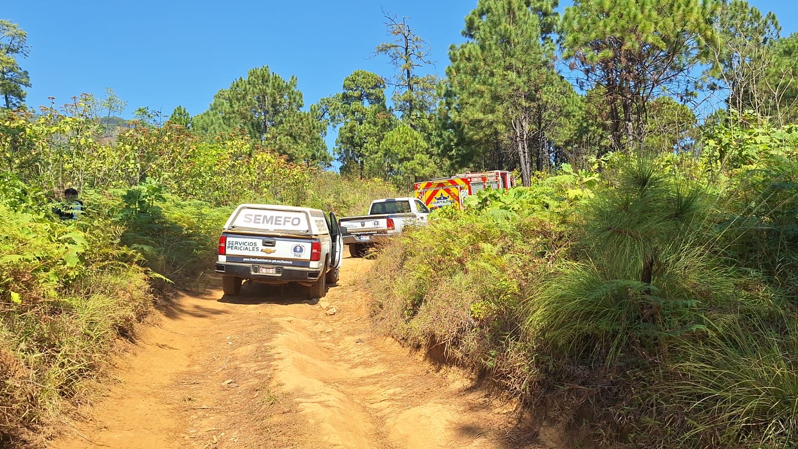 Identifican al joven ejecutado en el Cerro de la Cruz de Uruapan; estaba reportado desaparecido 