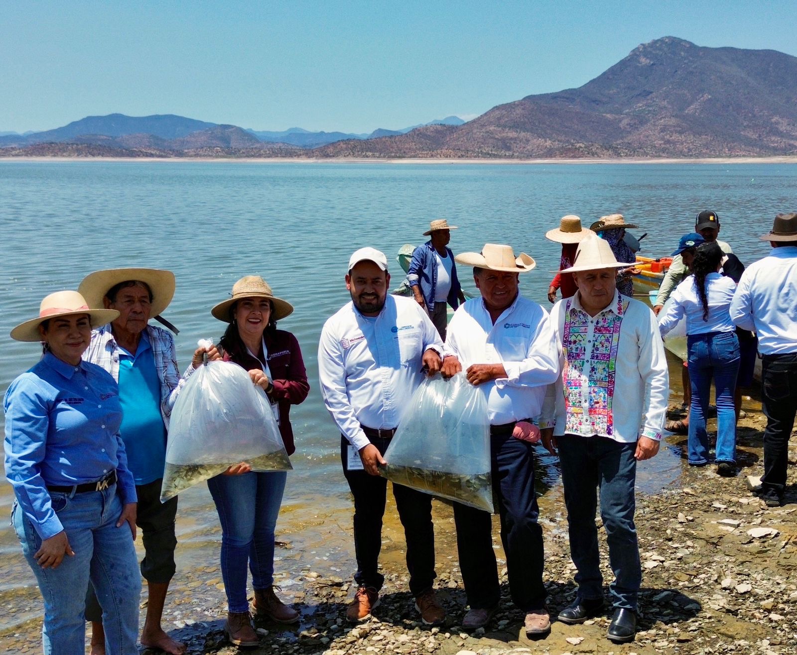 Siembra Compesca 150 mil tilapias para impulsar la economía en Churumuco